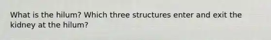 What is the hilum? Which three structures enter and exit the kidney at the hilum?