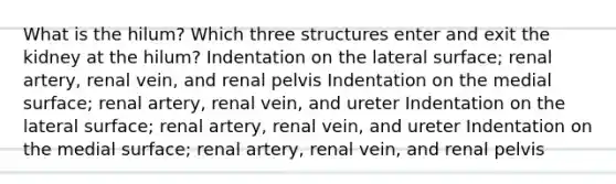 What is the hilum? Which three structures enter and exit the kidney at the hilum? Indentation on the lateral surface; renal artery, renal vein, and renal pelvis Indentation on the medial surface; renal artery, renal vein, and ureter Indentation on the lateral surface; renal artery, renal vein, and ureter Indentation on the medial surface; renal artery, renal vein, and renal pelvis