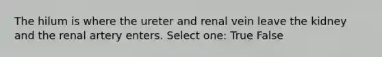 The hilum is where the ureter and renal vein leave the kidney and the renal artery enters. Select one: True False