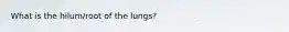 What is the hilum/root of the lungs?