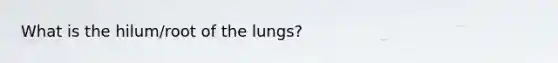 What is the hilum/root of the lungs?