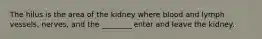 The hilus is the area of the kidney where blood and lymph vessels, nerves, and the ________ enter and leave the kidney.