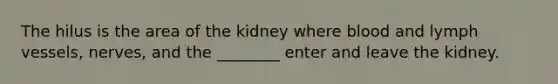 The hilus is the area of the kidney where blood and lymph vessels, nerves, and the ________ enter and leave the kidney.