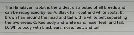 The Himalayan rabbit is the widest distributed of all breeds and can be recognized by its: A. Black hair coat and white spots. B. Brown hair around the head and tail with a white belt separating the two areas. C. Red body and white ears, nose, feet, and tail. D. White body with black ears, nose, feet, and tail.