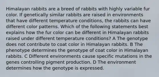 Himalayan rabbits are a breed of rabbits with highly variable fur color. If genetically similar rabbits are raised in environments that have different temperature conditions, the rabbits can have different color patterns. Which of the following statements best explains how the fur color can be different in Himalayan rabbits raised under different temperature conditions? A The genotype does not contribute to coat color in Himalayan rabbits. B The phenotype determines the genotype of coat color in Himalayan rabbits. C Different environments cause specific mutations in the genes controlling pigment production. D The environment determines how the genotype is expressed.