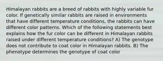 Himalayan rabbits are a breed of rabbits with highly variable fur color. If genetically similar rabbits are raised in environments that have different temperature conditions, the rabbits can have different color patterns. Which of the following statements best explains how the fur color can be different in Himalayan rabbits raised under different temperature conditions? A) The genotype does not contribute to coat color in Himalayan rabbits. B) The phenotype determines the genotype of coat color