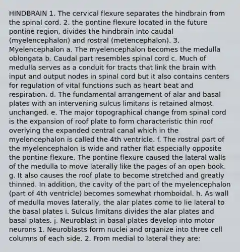 HINDBRAIN 1. The cervical flexure separates the hindbrain from the spinal cord. 2. the pontine flexure located in the future pontine region, divides the hindbrain into caudal (myelencephalon) and rostral (metencephalon). 3. Myelencephalon a. The myelencephalon becomes the medulla oblongata b. Caudal part resembles spinal cord c. Much of medulla serves as a conduit for tracts that link the brain with input and output nodes in spinal cord but it also contains centers for regulation of vital functions such as heart beat and respiration. d. The fundamental arrangement of alar and basal plates with an intervening sulcus limitans is retained almost unchanged. e. The major topographical change from spinal cord is the expansion of roof plate to form characteristic thin roof overlying the expanded central canal which in the myelencephalon is called the 4th ventricle. f. The rostral part of the myelencephalon is wide and rather flat especially opposite the pontine flexure. The pontine flexure caused the lateral walls of the medulla to move laterally like the pages of an open book. g. It also causes the roof plate to become stretched and greatly thinned. In addition, the cavity of the part of the myelencephalon (part of 4th ventricle) becomes somewhat rhomboidal. h. As wall of medulla moves laterally, the alar plates come to lie lateral to the basal plates i. Sulcus limitans divides the alar plates and basal plates. j. Neuroblast in basal plates develop into motor neurons 1. Neuroblasts form nuclei and organize into three cell columns of each side. 2. From medial to lateral they are: