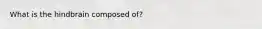 What is the hindbrain composed of?