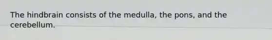 The hindbrain consists of the medulla, the pons, and the cerebellum.