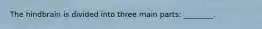 The hindbrain is divided into three main parts: ________.