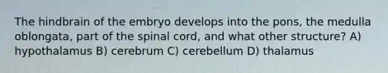 The hindbrain of the embryo develops into the pons, the medulla oblongata, part of the spinal cord, and what other structure? A) hypothalamus B) cerebrum C) cerebellum D) thalamus