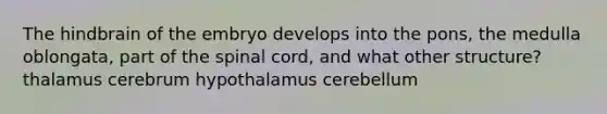 The hindbrain of the embryo develops into the pons, the medulla oblongata, part of <a href='https://www.questionai.com/knowledge/kkAfzcJHuZ-the-spinal-cord' class='anchor-knowledge'>the spinal cord</a>, and what other structure? thalamus cerebrum hypothalamus cerebellum