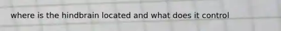 where is the hindbrain located and what does it control