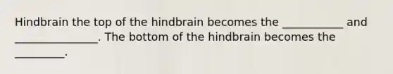 Hindbrain the top of the hindbrain becomes the ___________ and _______________. The bottom of the hindbrain becomes the _________.