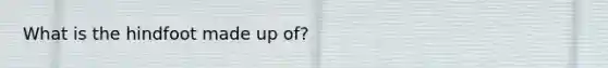 What is the hindfoot made up of?