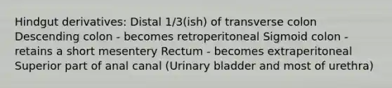 Hindgut derivatives: Distal 1/3(ish) of transverse colon Descending colon - becomes retroperitoneal Sigmoid colon - retains a short mesentery Rectum - becomes extraperitoneal Superior part of anal canal (<a href='https://www.questionai.com/knowledge/kb9SdfFdD9-urinary-bladder' class='anchor-knowledge'>urinary bladder</a> and most of urethra)