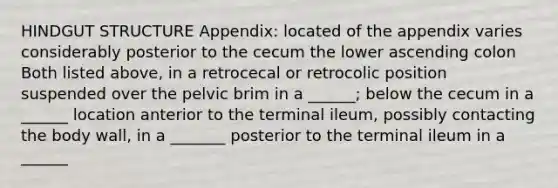 HINDGUT STRUCTURE Appendix: located of the appendix varies considerably posterior to the cecum the lower ascending colon Both listed above, in a retrocecal or retrocolic position suspended over the pelvic brim in a ______; below the cecum in a ______ location anterior to the terminal ileum, possibly contacting the body wall, in a _______ posterior to the terminal ileum in a ______