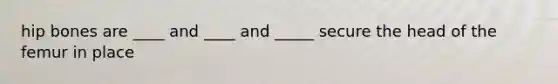 hip bones are ____ and ____ and _____ secure the head of the femur in place