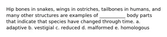 Hip bones in snakes, wings in ostriches, tailbones in humans, and many other structures are examples of ___________ body parts that indicate that species have changed through time. a. adaptive b. vestigial c. reduced d. malformed e. homologous