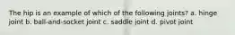The hip is an example of which of the following joints? a. hinge joint b. ball-and-socket joint c. saddle joint d. pivot joint