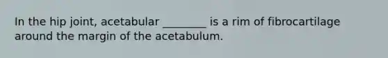 In the hip joint, acetabular ________ is a rim of fibrocartilage around the margin of the acetabulum.