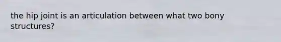 the hip joint is an articulation between what two bony structures?