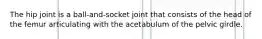 The hip joint is a ball-and-socket joint that consists of the head of the femur articulating with the acetabulum of the pelvic girdle.