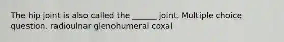 The hip joint is also called the ______ joint. Multiple choice question. radioulnar glenohumeral coxal