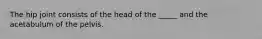 The hip joint consists of the head of the _____ and the acetabulum of the pelvis.