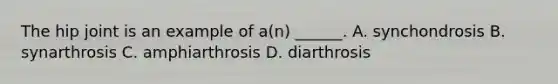 The hip joint is an example of a(n) ______. A. synchondrosis B. synarthrosis C. amphiarthrosis D. diarthrosis