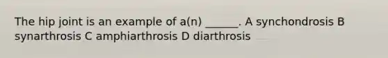 The hip joint is an example of a(n) ______. A synchondrosis B synarthrosis C amphiarthrosis D diarthrosis