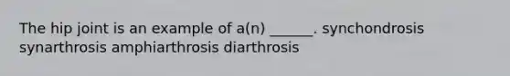 The hip joint is an example of a(n) ______. synchondrosis synarthrosis amphiarthrosis diarthrosis