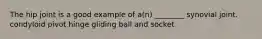 The hip joint is a good example of a(n) ________ synovial joint. condyloid pivot hinge gliding ball and socket