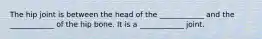The hip joint is between the head of the ____________ and the ____________ of the hip bone. It is a ____________ joint.