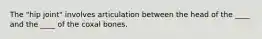 The "hip joint" involves articulation between the head of the ____ and the ____ of the coxal bones.