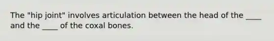 The "hip joint" involves articulation between the head of the ____ and the ____ of the coxal bones.