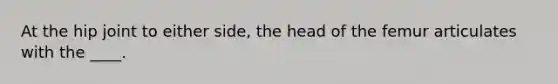 At the hip joint to either side, the head of the femur articulates with the ____.