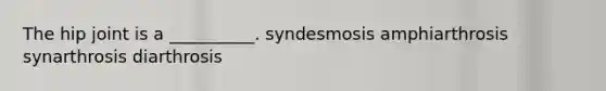 The hip joint is a __________. syndesmosis amphiarthrosis synarthrosis diarthrosis