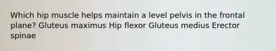 Which hip muscle helps maintain a level pelvis in the frontal plane? Gluteus maximus Hip flexor Gluteus medius Erector spinae