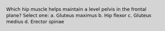 Which hip muscle helps maintain a level pelvis in the frontal plane? Select one: a. Gluteus maximus b. Hip flexor c. Gluteus medius d. Erector spinae