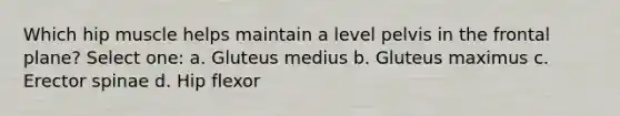 Which hip muscle helps maintain a level pelvis in the frontal plane? Select one: a. Gluteus medius b. Gluteus maximus c. Erector spinae d. Hip flexor