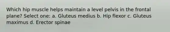 Which hip muscle helps maintain a level pelvis in the frontal plane? Select one: a. Gluteus medius b. Hip flexor c. Gluteus maximus d. Erector spinae