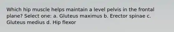 Which hip muscle helps maintain a level pelvis in the frontal plane? Select one: a. Gluteus maximus b. Erector spinae c. Gluteus medius d. Hip flexor