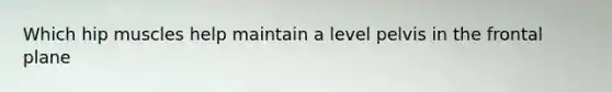 Which hip muscles help maintain a level pelvis in the frontal plane