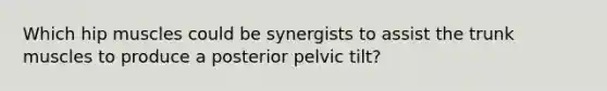 Which hip muscles could be synergists to assist the trunk muscles to produce a posterior pelvic tilt?