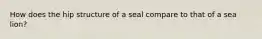 How does the hip structure of a seal compare to that of a sea lion?