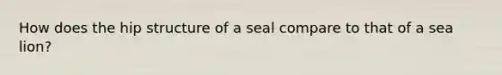 How does the hip structure of a seal compare to that of a sea lion?