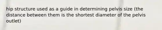 hip structure used as a guide in determining pelvis size (the distance between them is the shortest diameter of the pelvis outlet)