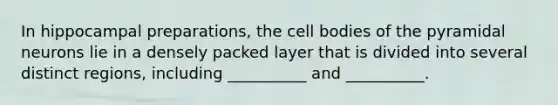 In hippocampal preparations, the cell bodies of the pyramidal neurons lie in a densely packed layer that is divided into several distinct regions, including __________ and __________.