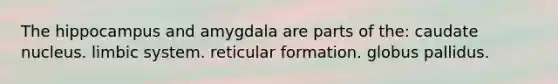 The hippocampus and amygdala are parts of the: caudate nucleus. limbic system. reticular formation. globus pallidus.